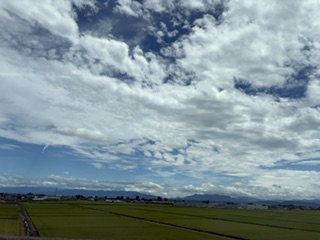 おはようございます