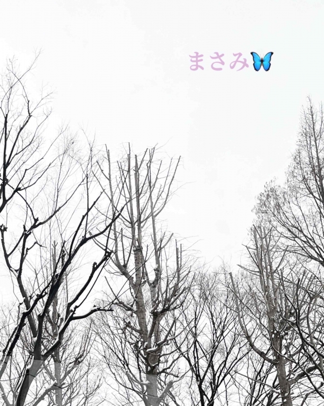 完熟ばなな川崎店 まさみです