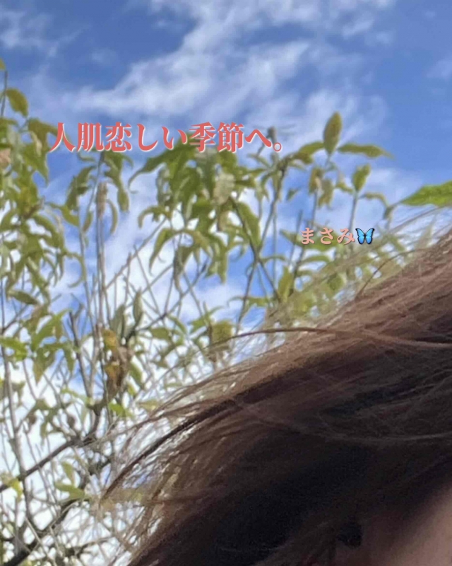 1枚目