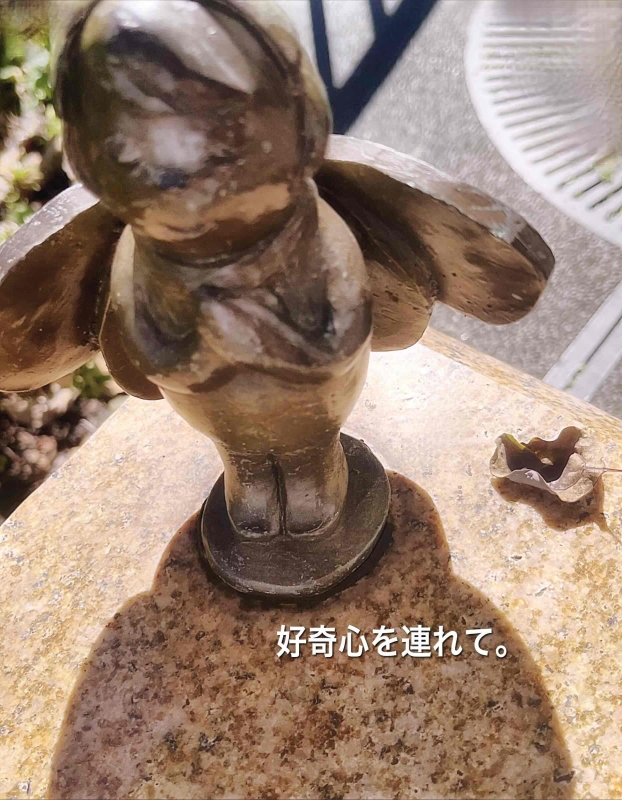 完熟ばなな川崎店 まさみです。