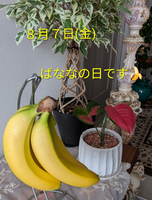本日　ばなな感謝祭?