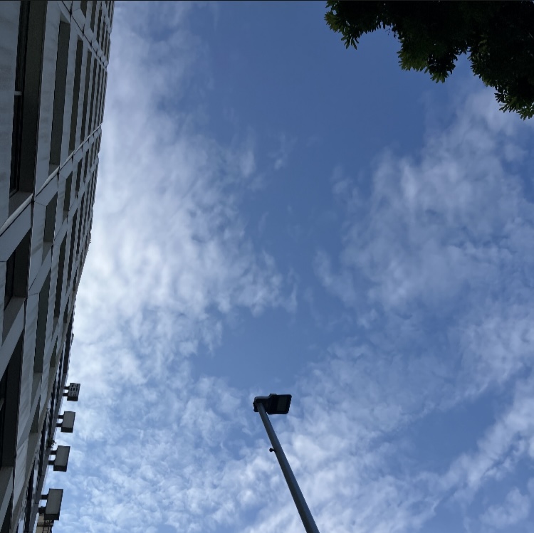 完熟ばななさとみ