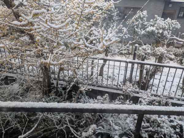 完熟ばなな川崎店ふじよです　中々雨が降らないと思ったら