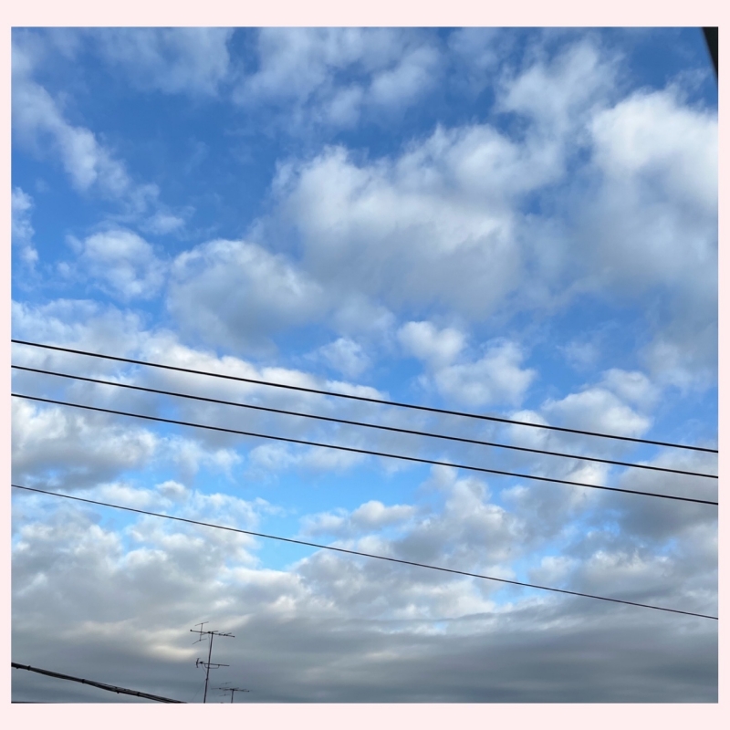 出勤致しました