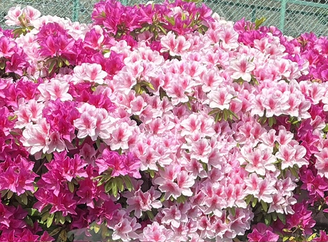 出勤しました(o^^o)