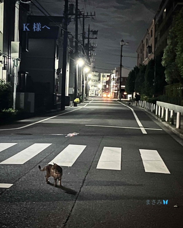 1枚目