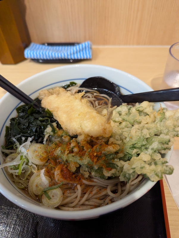 こんばんは(*´∀｀*)