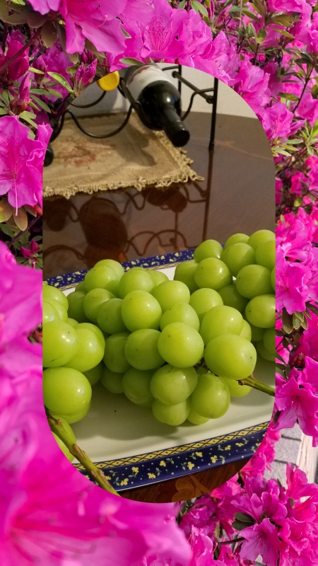 お盆の頂き物