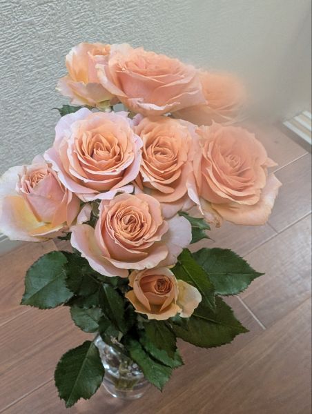 完熟ばなな横浜　ひいろです