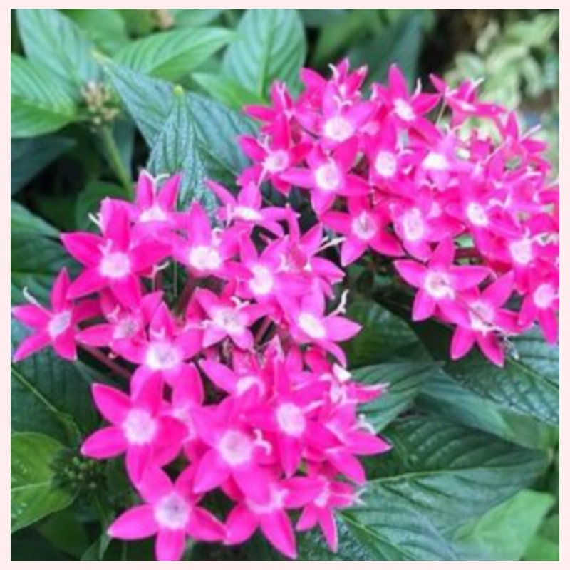 いってらっしゃいませ(o^^o)