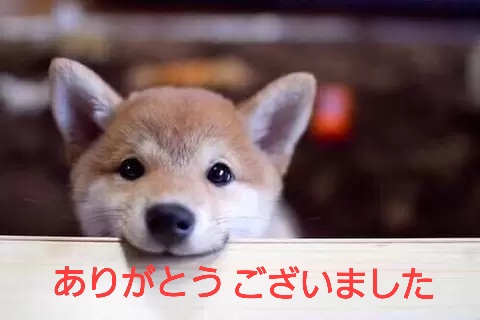 1枚目