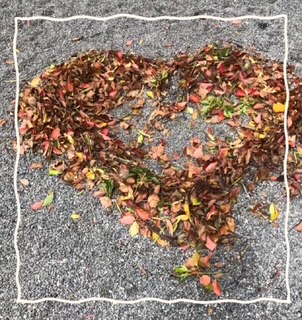 完熟ばなな川崎店ちえです^ ^