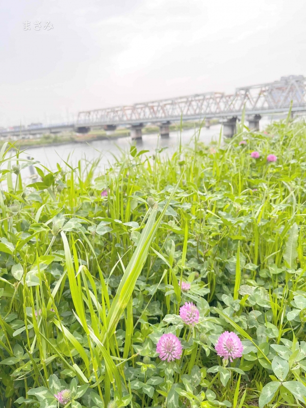完熟ばなな川崎店 まさみです