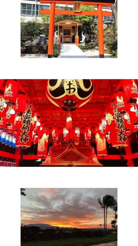 秋のお散歩